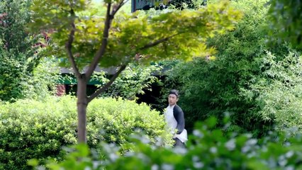 Thái cực tông sư tập 28 - Trịnh gia dĩnh