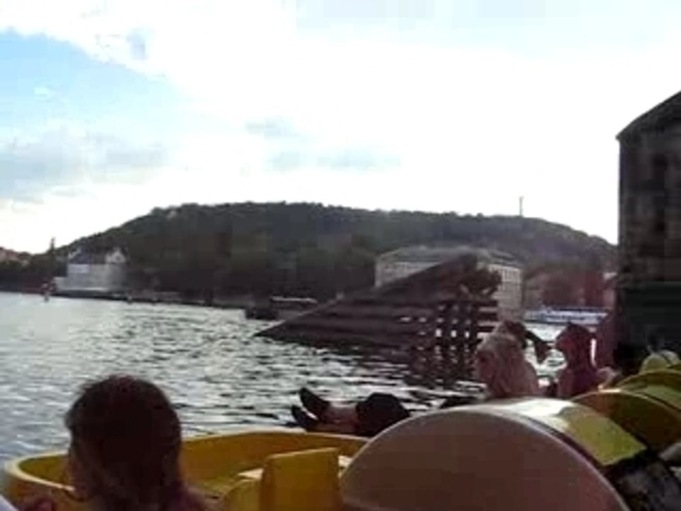 MVI_0333
