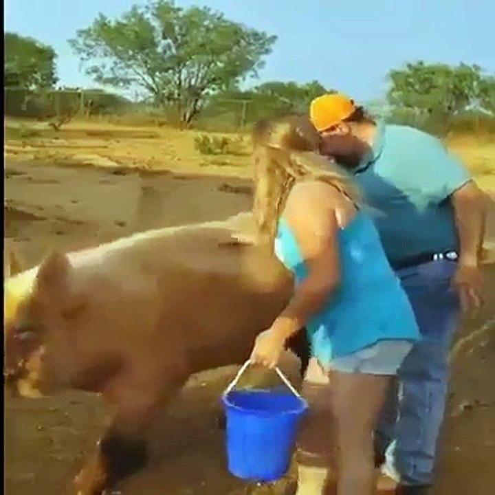 Sooooo funny must watch !!