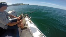 Brit tourists in NZ shocked after shark steals fish - and takes massive bite