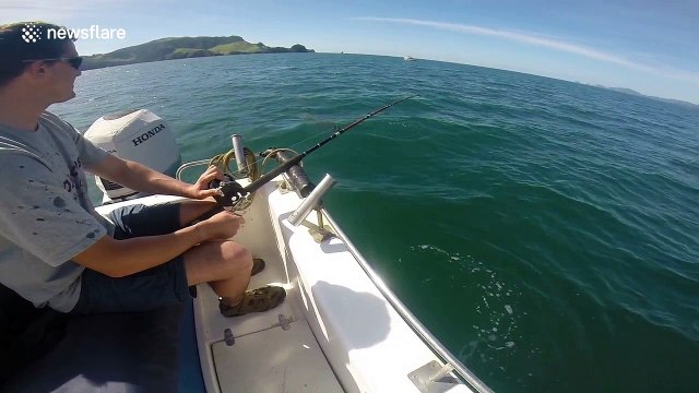 Brit tourists in NZ shocked after shark steals fish - and takes massive bite