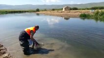 Jandarma, Bin 200 Kilo Canlı Balığı Göle Bıraktı