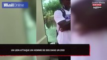 Etats-Unis : Un tigre attaque un homme de dos dans un zoo (Vidéo)