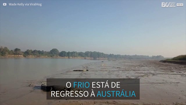 Dezenas de crocodilos apanham banhos de sol na Austrália