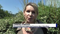 Hautes-Alpes : Chantal Eymeoud s'explique  sur la tarification des transports scolaires