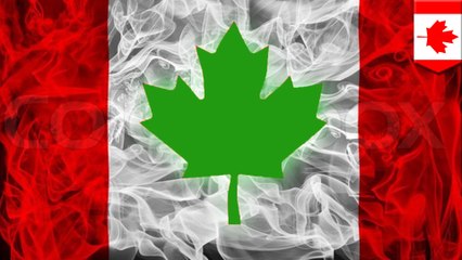 Oh Canada is legalizing recreational buddha