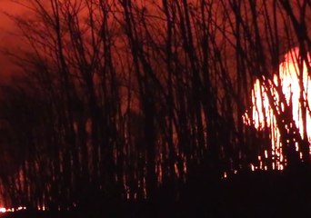 Red Glow of Fast-Flowing Lava Seen by Night in Hawaii