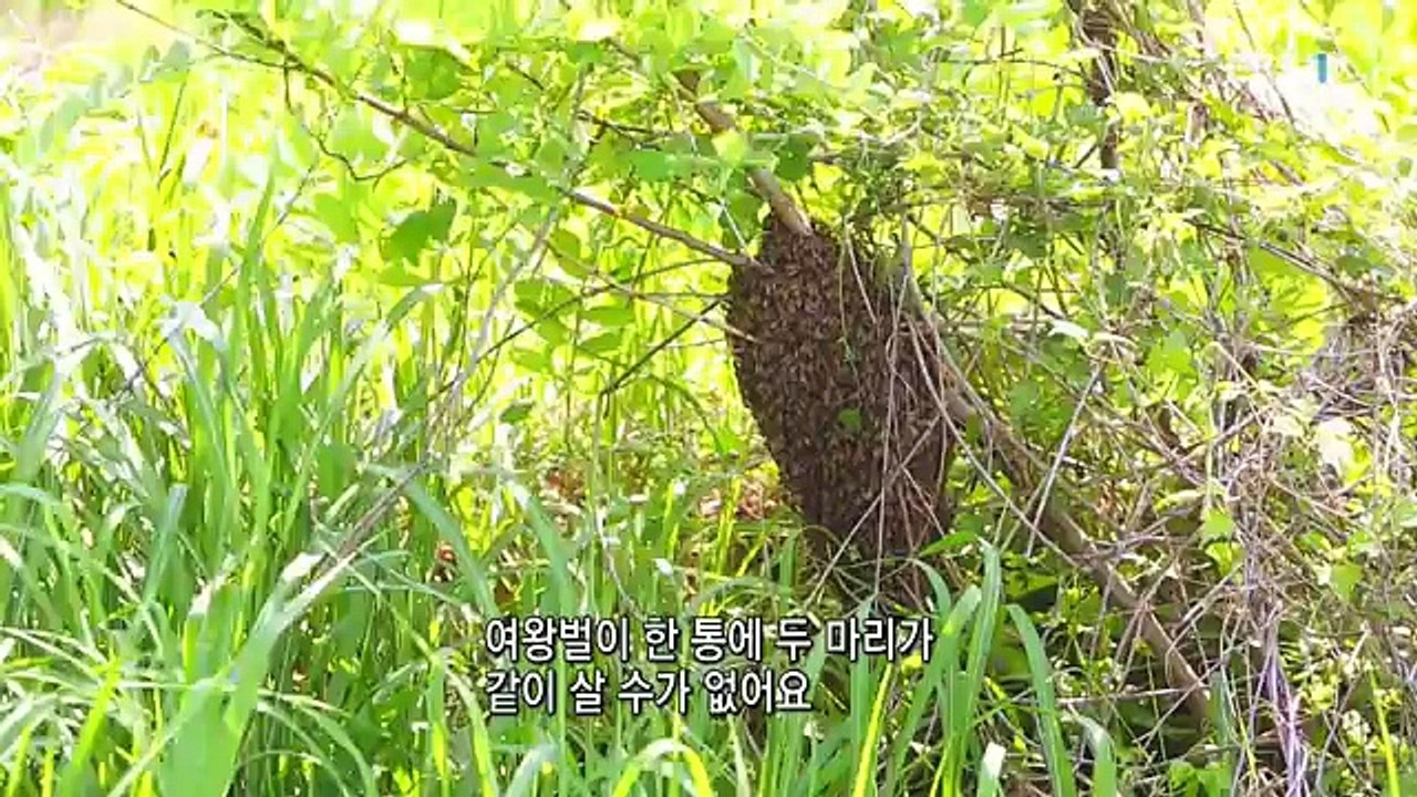 한국기행.E2213.180621