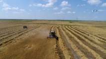 Tahıl Ambarı Konya Ovasında Arpa Hasadı Başladı...hasat Havadan Görüntülendi