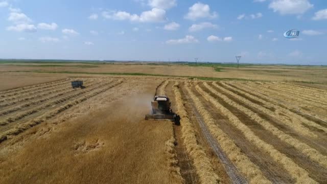 Tahıl Ambarı Konya Ovasında Arpa Hasadı Başladı...hasat Havadan Görüntülendi