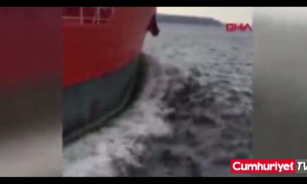 Yunuslar Boğaz'da tankerle birlikte yüzdü