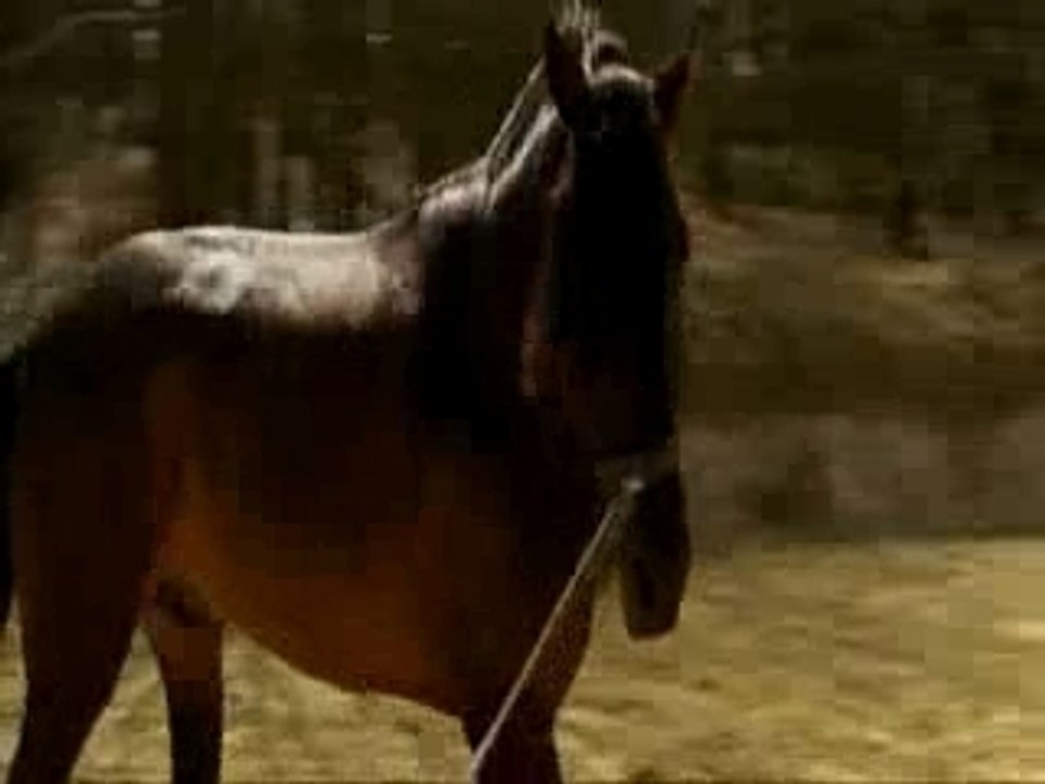 Danse avec lui