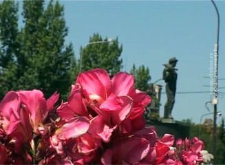 Ugledni Borani o statusu Grada, 21.jun 2018. (RTV Bor)