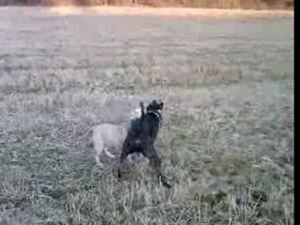 Kenza & Tyson