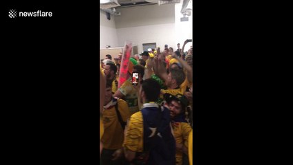 Australian fans go wild in stadium toilets after Denmark draw