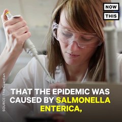 what happened to aztecs