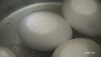 Man Trolls Foodies With $38 Hot Dog Water