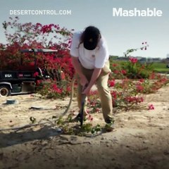 turning deserts to fertile soil