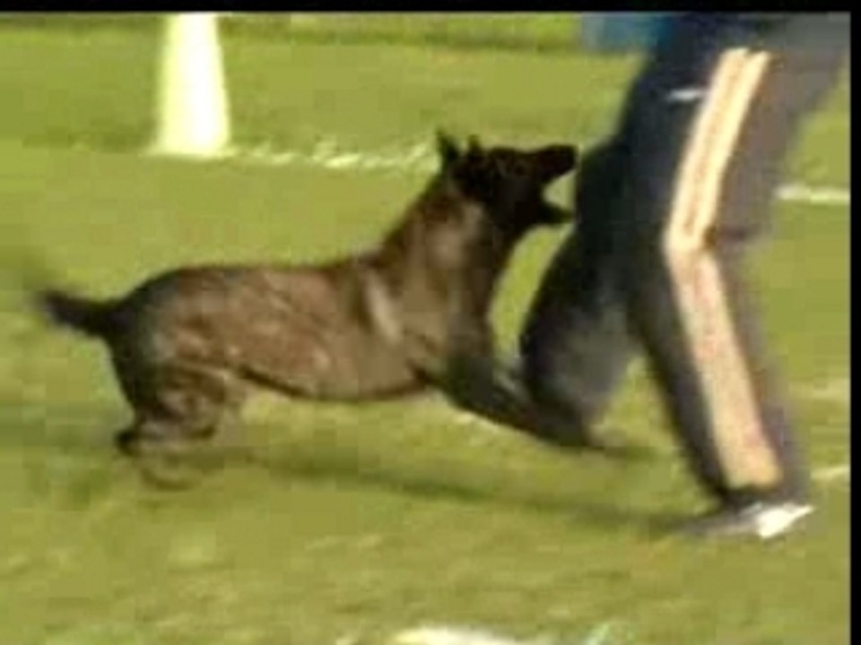 Uaga mordant Ring 1 Lamentin 12 07