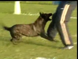 Uaga mordant Ring 1 Lamentin 12 07