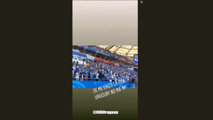 LUIS SUAREZ Y EDI CAVANI EN LAS REDES: NTVG EN EL ESTADIO Y EDI DESDE EL ÓMNIBUS DE LA SELECCIÓN