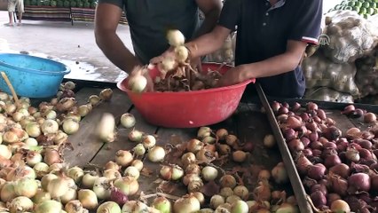 'Soğan tarlada 1,5, tezgahta 6 lira' - HATAY