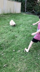 Kids Bump Heads Trying to Wrangle Dog