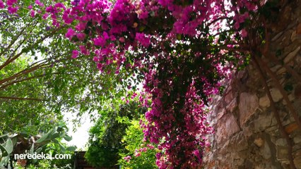 Eski Datça Pansiyon & Cafe