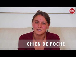 Des Français tentent de définir des mots québécois - Partie # 2