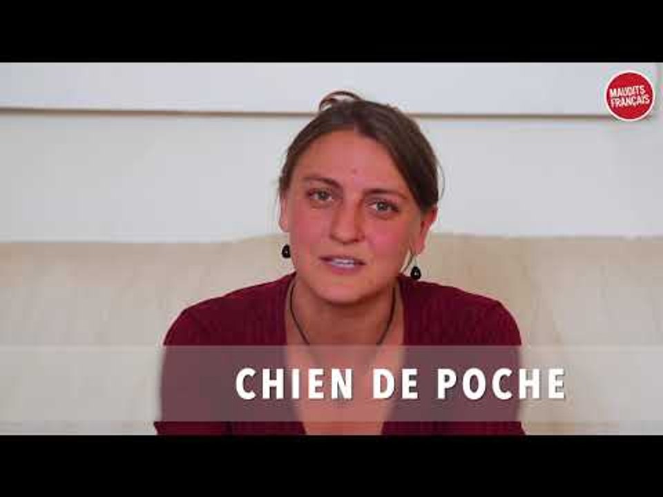 Des Français tentent de définir des mots québécois - Partie # 2