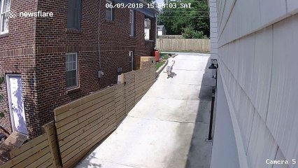 You’ll want to give this boy a hug after watching his epic dog-walking fail