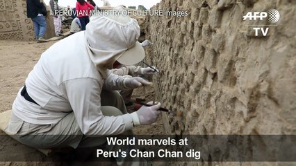 High relief murals discovered at ancient Peru citadel Chan Chan