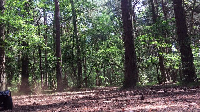 Traxxas Slash 4x4 - No More Bodyclips - Proline Body Mounts