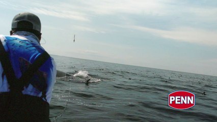 Fish Fights presented by PENN® – Big Bluefin Tuna in New England