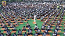 India se elonga por el Día Internacional del Yoga