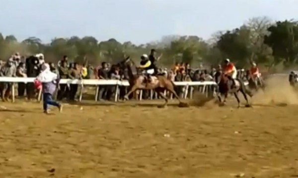 Seberangi Lintasan Pacuan, Seorang Penonton Tertabrak Kuda