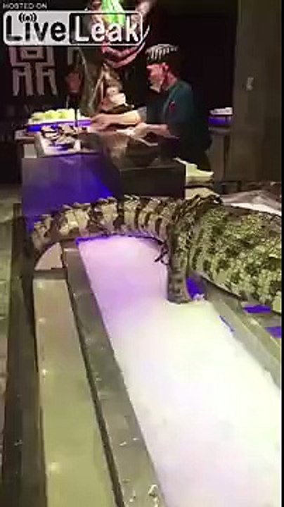Fresh Gator