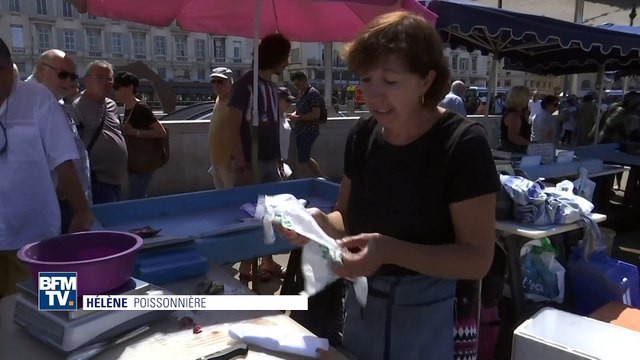Les poissonniers marseillais verbalisés pour ne pas avoir indiqué le nom latin de leurs poissons