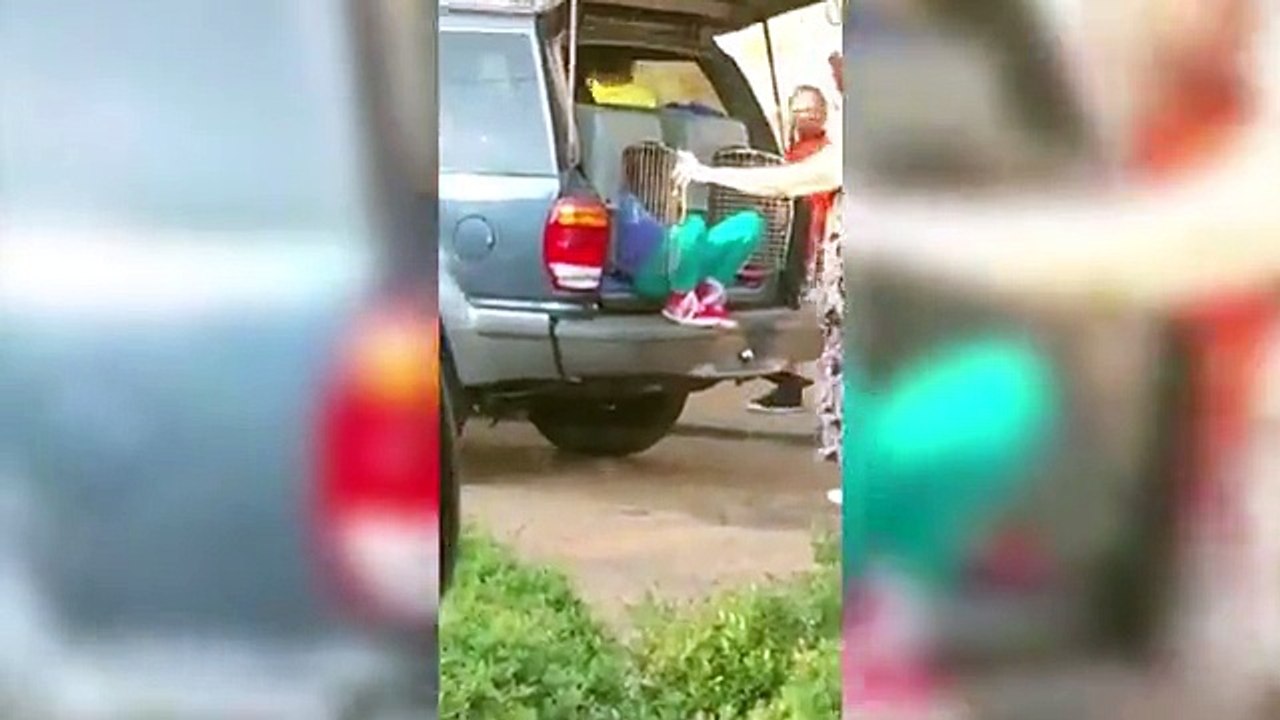 Une grand-mère enferme ses petits-enfants dans des cages pour chien