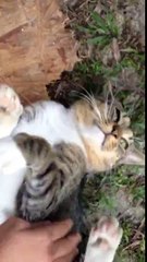 모바일바카라주소 【 FAFA82。CoM 】 월드카지노