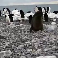 인터넷바카라사이트 【 FAFA82。CoM 】 바카라룰