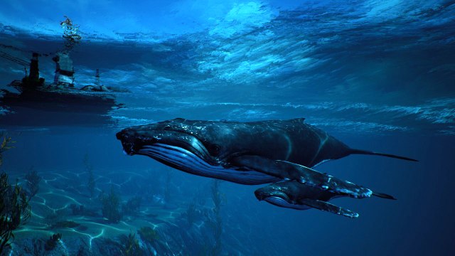 Maneater annoncé lors du PC Gaming Show 2018