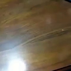 로얄카지노 【 FAFA82。CoM 】 온라인으로카지노하기