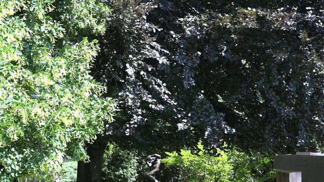 REGARD 499 - SOULAGES, une rétrospective - Fondation Pierre Gianadda - RLHD.TV