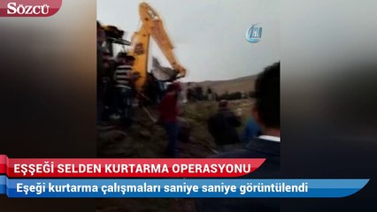 Eşşeği selden kurtarma operasyonu