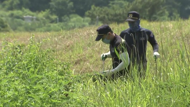 여고생 실종 일주일 째 '애타는 강진' / YTN
