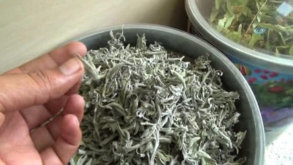 Sıcak Havalara Bitkisel Çare