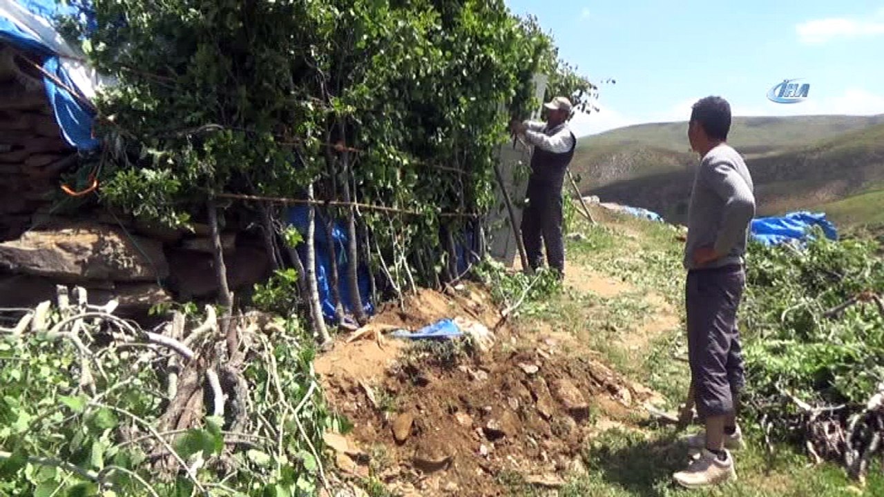 Geçimlerini hayvancılıkla sağlayan vatandaşlar yaylalara akın etti