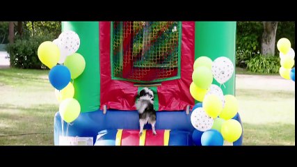 Dog Days (2018)#2 International Movies Trailers