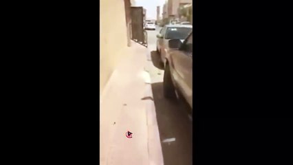 طلع يصلي الظهر و تفاجئ بالي قدام باب بيوت جيرانه  || متى تنقرض هالعينات ؟! || الله يهديهم 